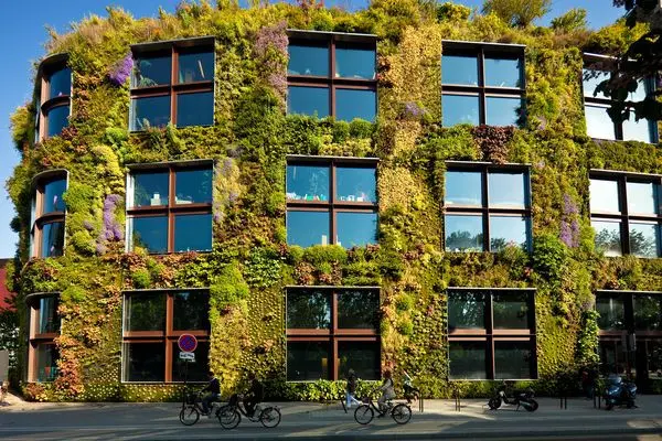 Green Home Facades: Installing Green Walls on Facades