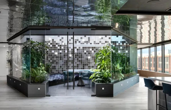 Biophilic Design for Offices