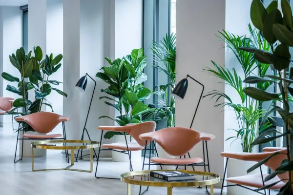 Plants in Organic Modern Interiors