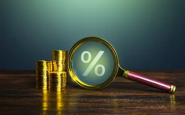 Экономика проекта гидропосева: стоимость и рентабельность