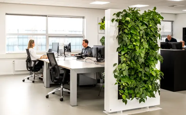 Benefits of Biophilic Design