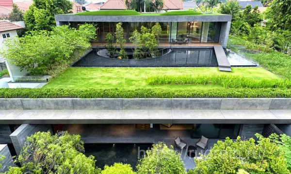 Rooftop Garden: Benefits and Features of Green Roofs