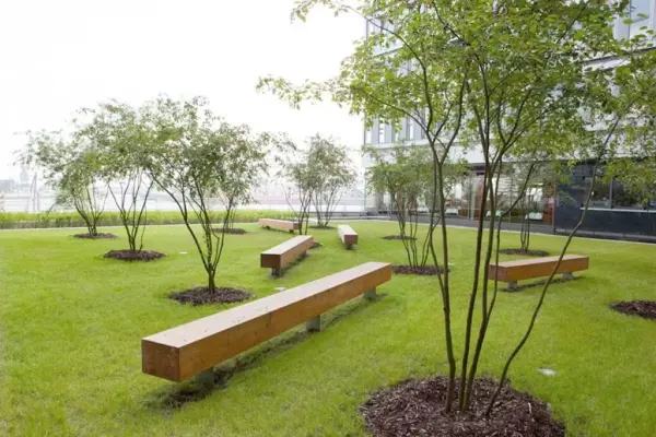 Майбутнє ландшафтної архітектури