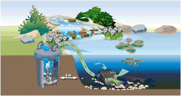Pond Filtration and Purification System
