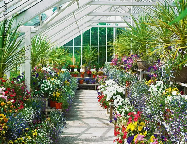 Greenhouse Winter Gardens