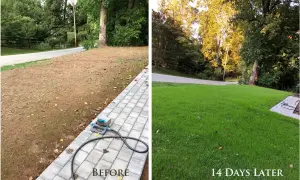 Hydroseeding: Technology for Slope Stabilization and Greening