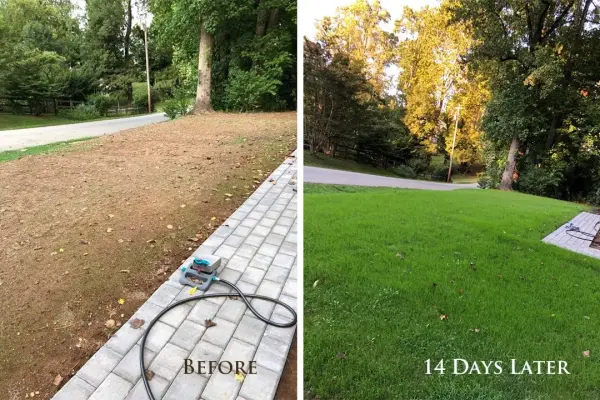 Hydroseeding: Technology for Slope Stabilization and Greening