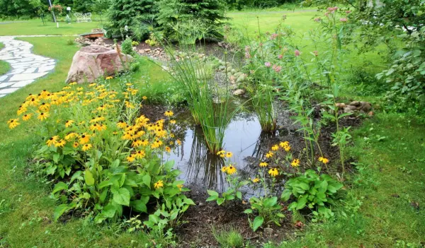 Water Elements in Exteriors: From Fountains to Rain Gardens