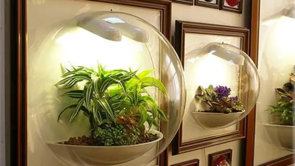 Technologies in phytodesign Technologies in phytodesign