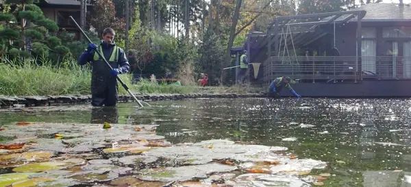 Seasonal Water Feature Maintenance