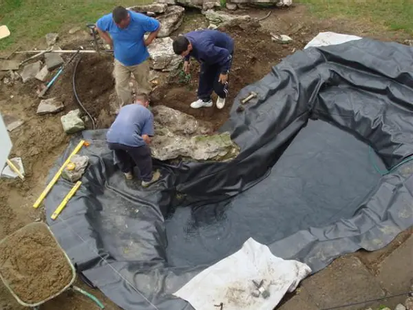 Pond Construction Stages