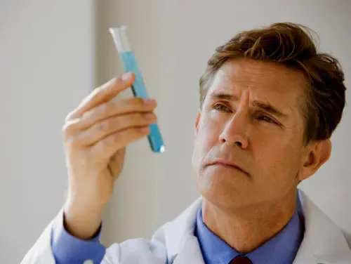 Composition and production technologies of natural adhesives