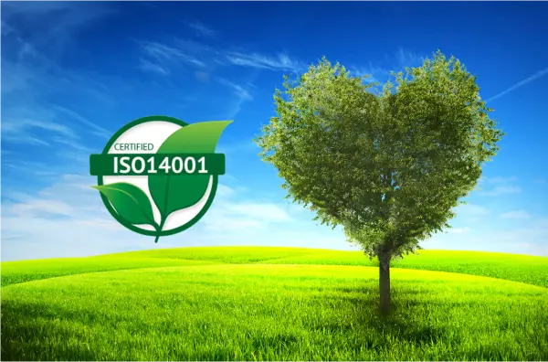 Environmental Management in Construction