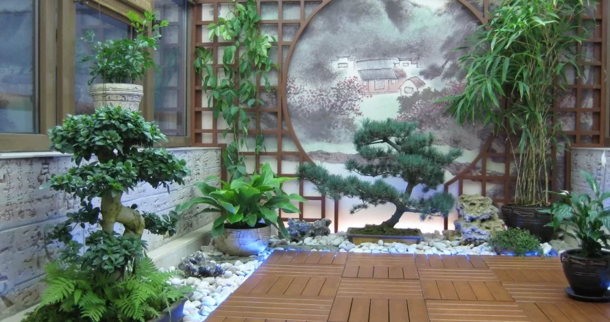 phytodesign in the interior
