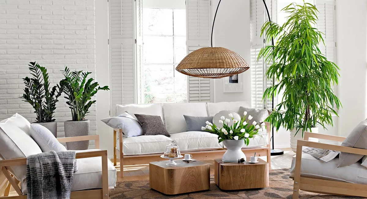 Creating a favorable microclimate using plants