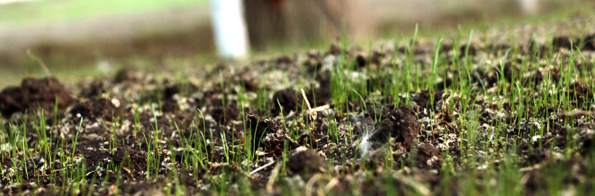 land greening technology with hydroseeding