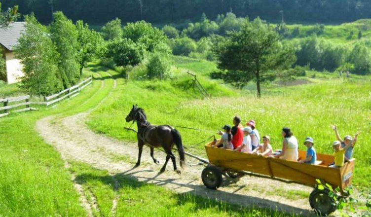 Practical aspects of rural tourism development